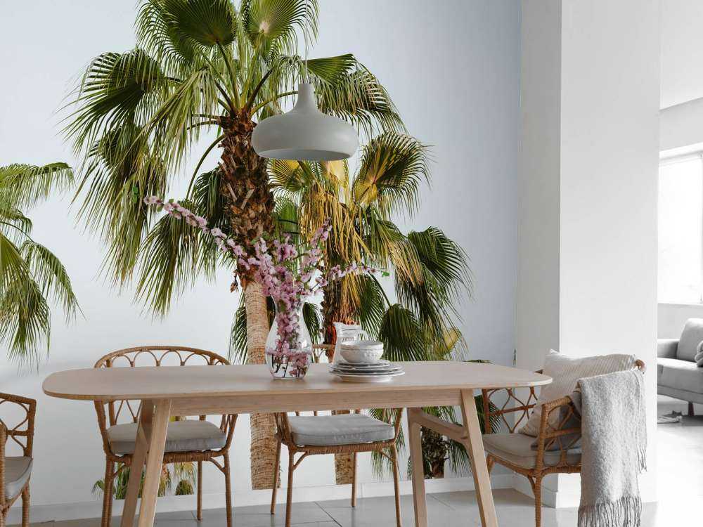 Groene palmbomen bij elkaar