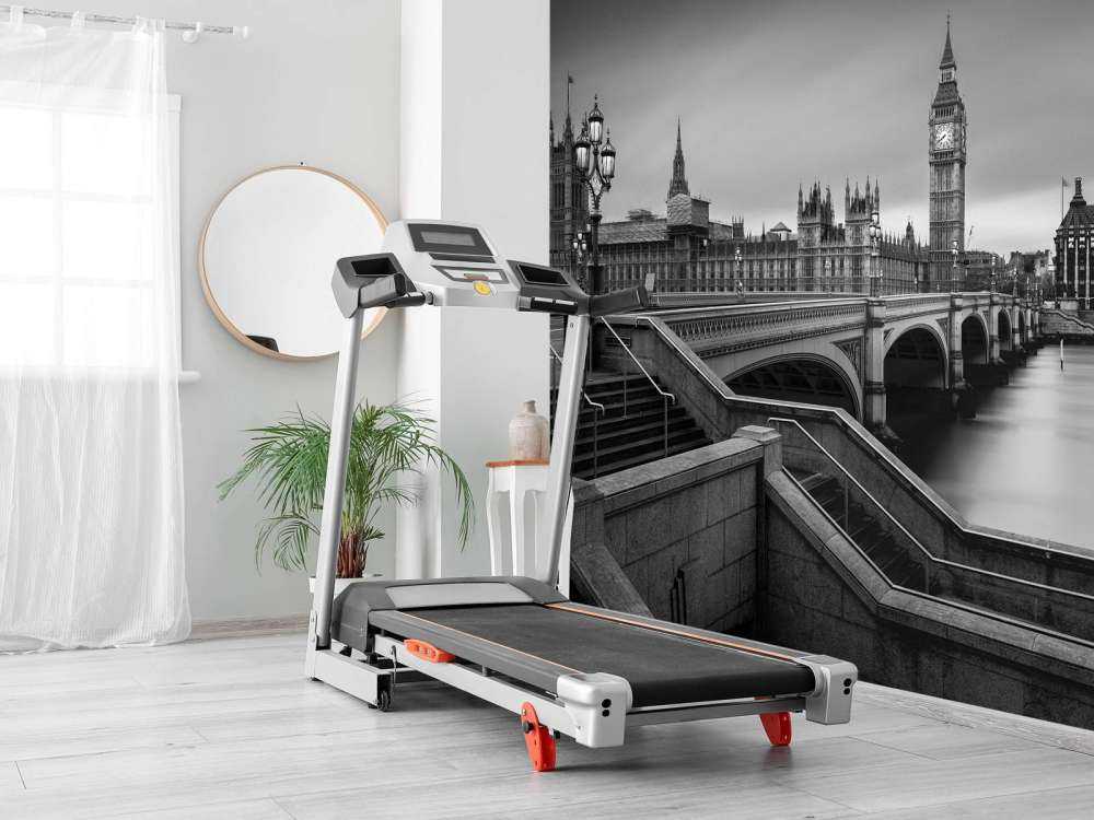 Westminster Bridge I