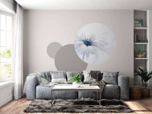Serenity