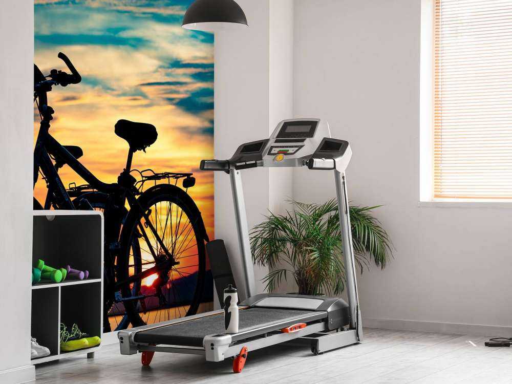Cycling at sunset