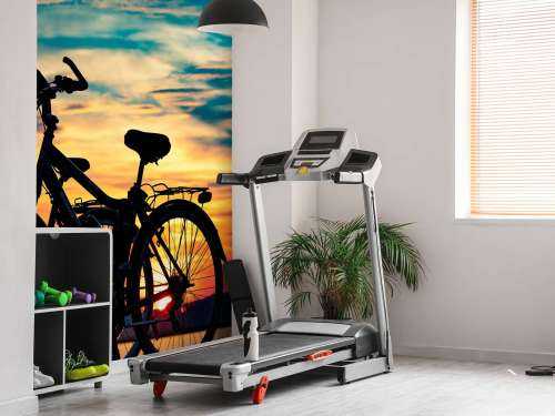 Cycling at sunset
