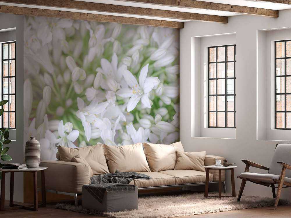 African Lily