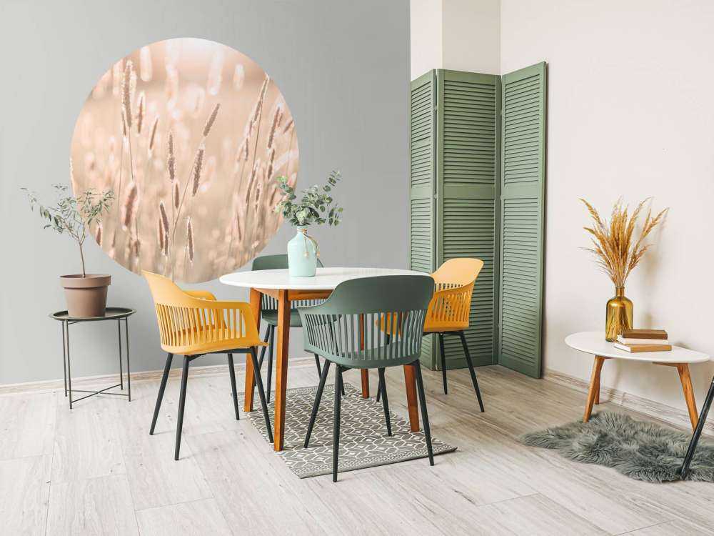 Sunlight through meadow