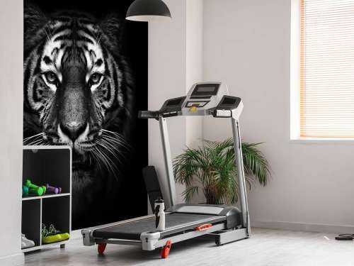 Dark Tiger