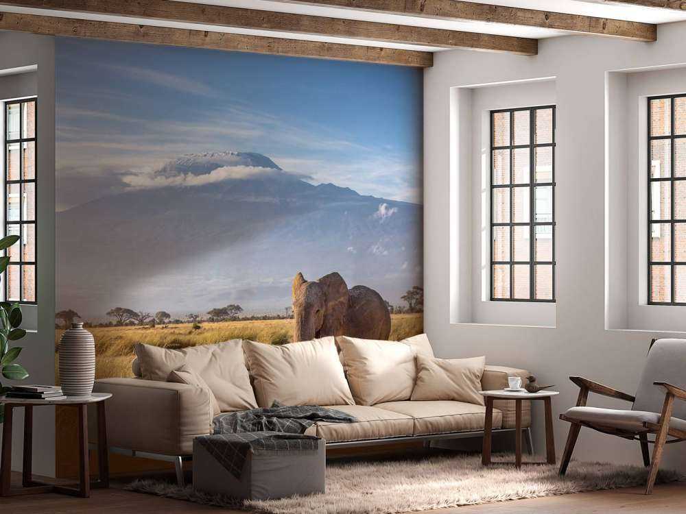 Afrikaanse olifant in een grasland