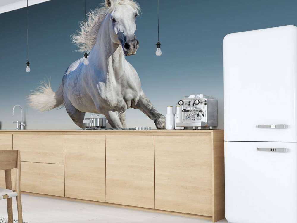 Galloping horse