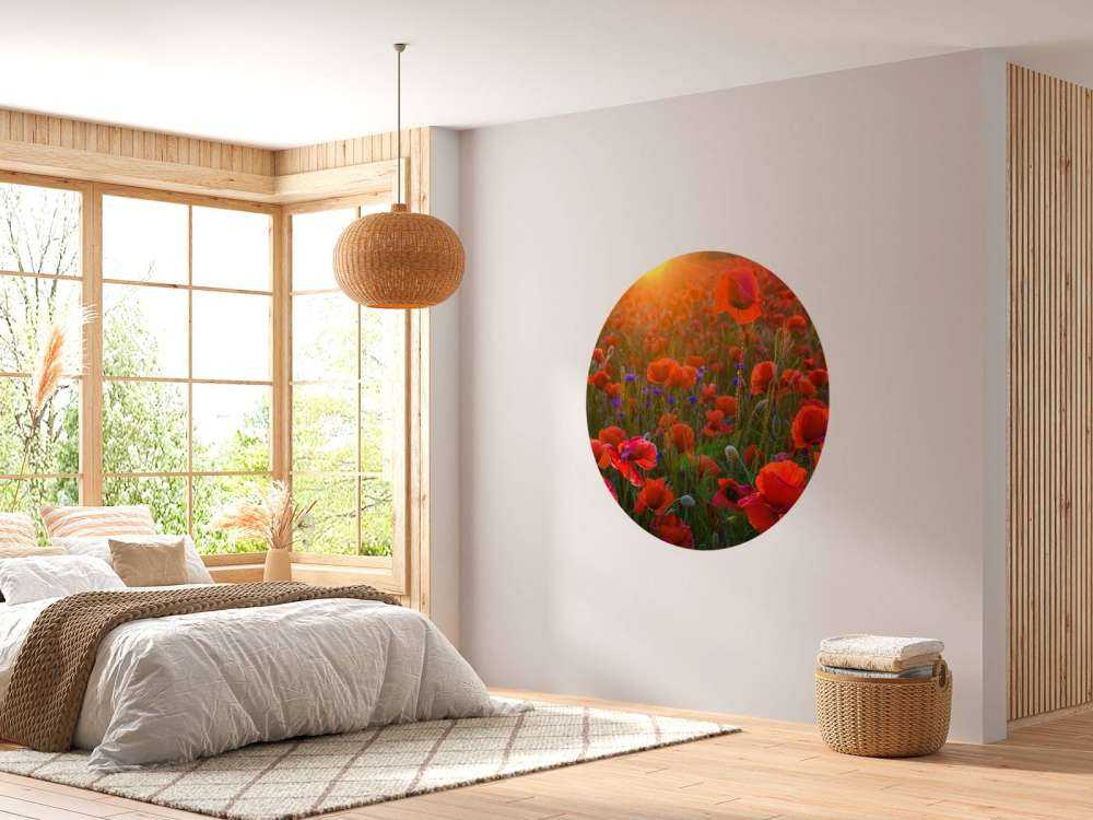 Poppies with rising sun