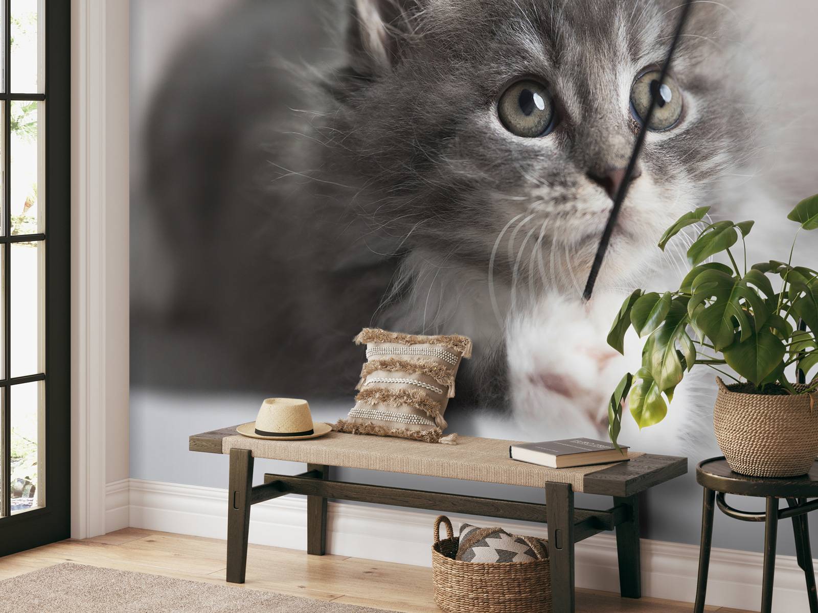 Playing cat