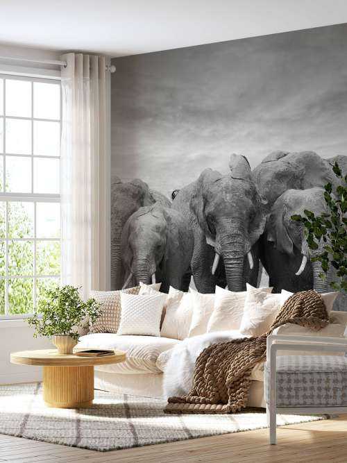 Herd of elephants