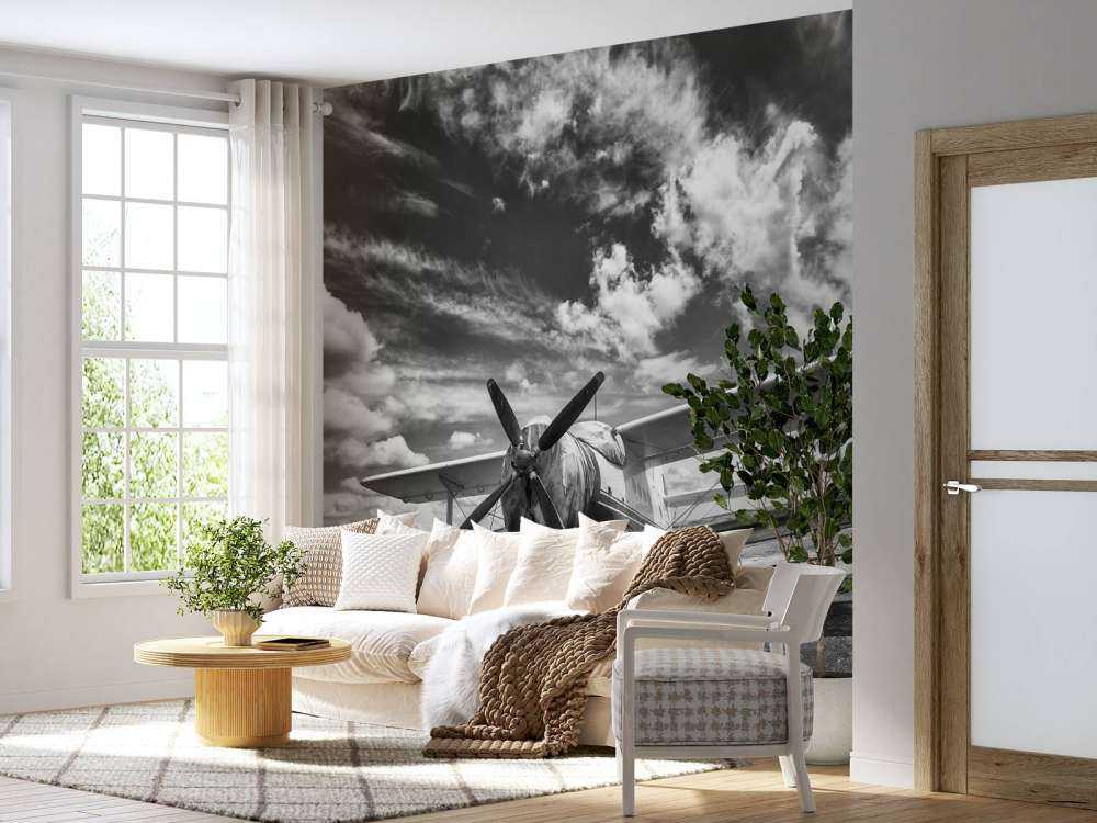 Classic airplane