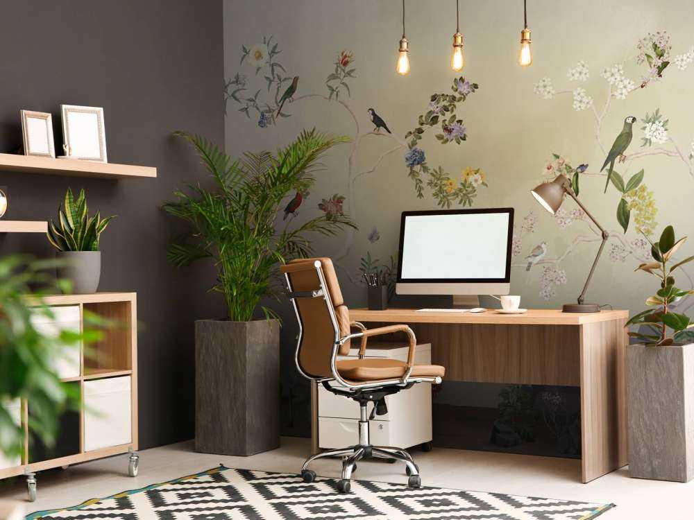 Birds in Garden Panorama 3