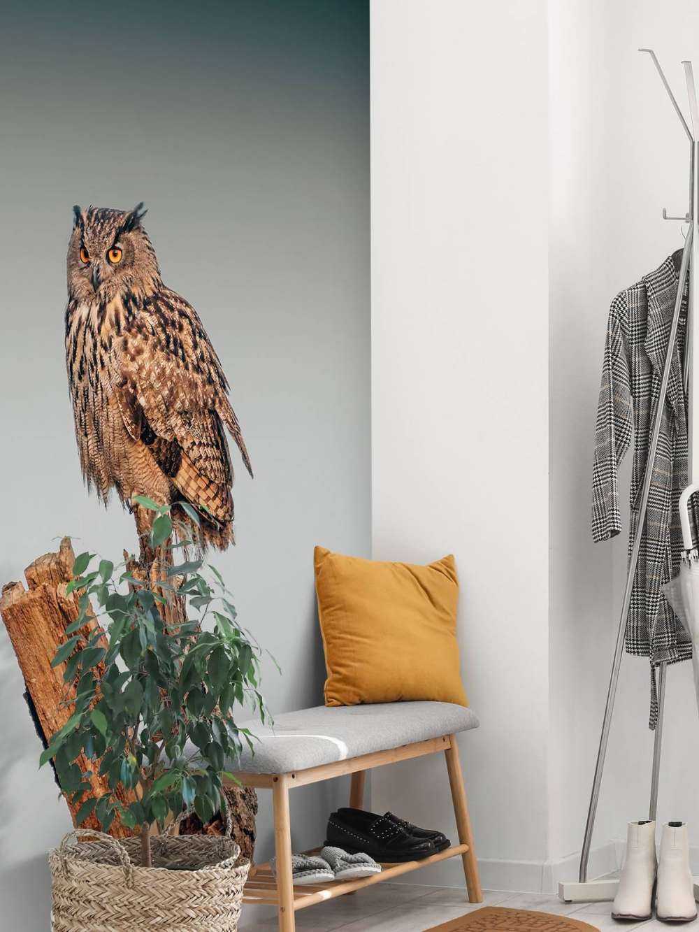 Eagle owl