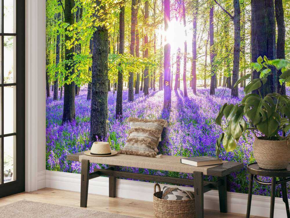 Colourful forest
