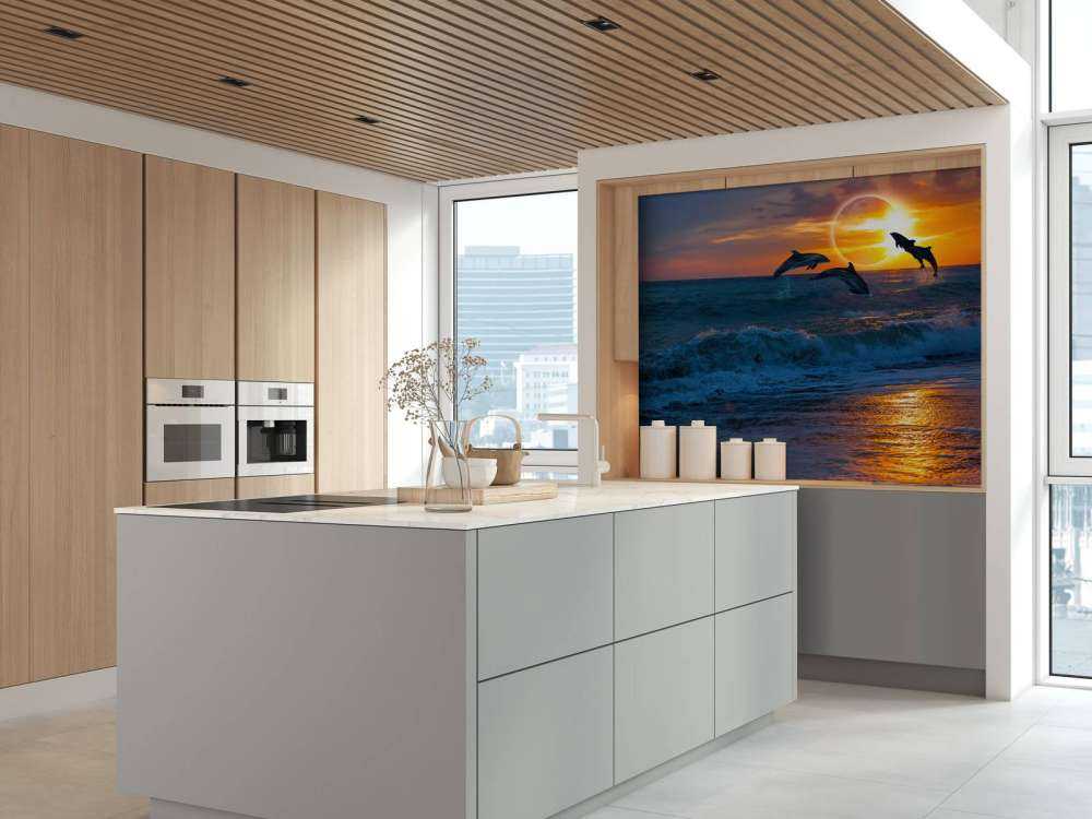 Dolphins with sunset