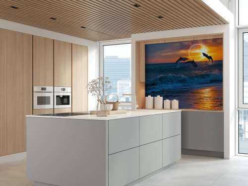 Dolphins with sunset