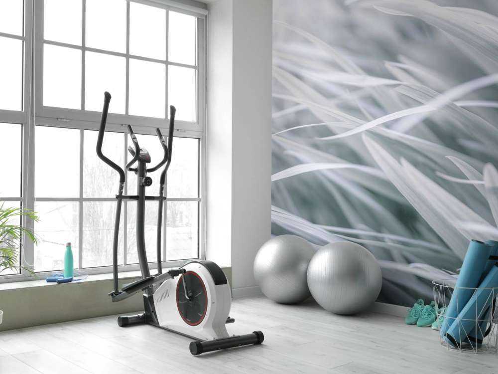 Grass blades close-up