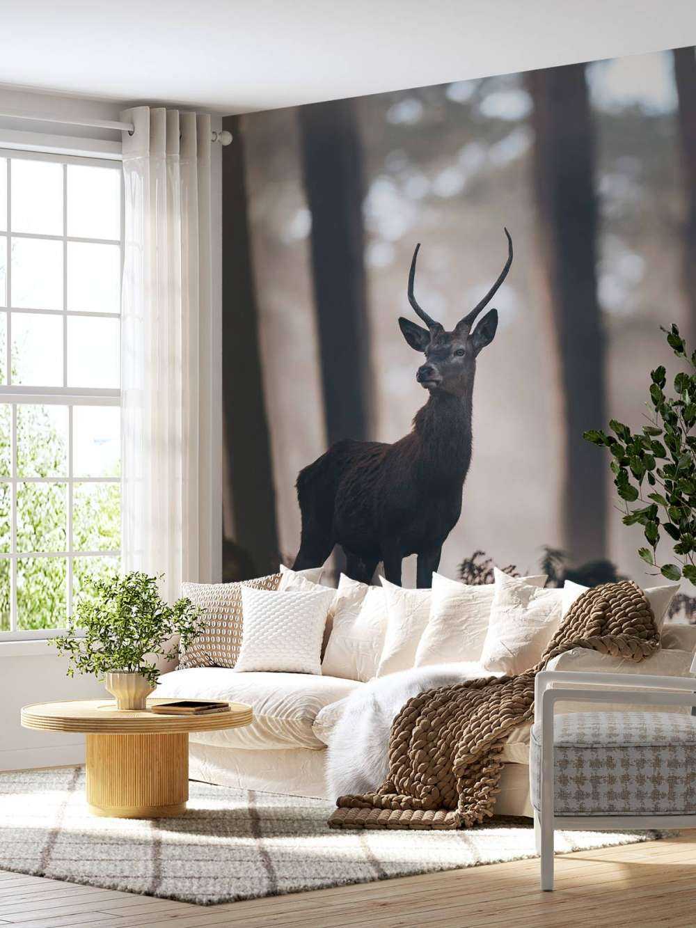 Stag near trees