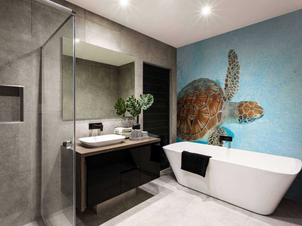 Turtle in the water