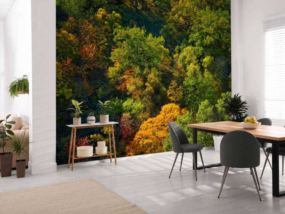 Bomen met herfstkleuren