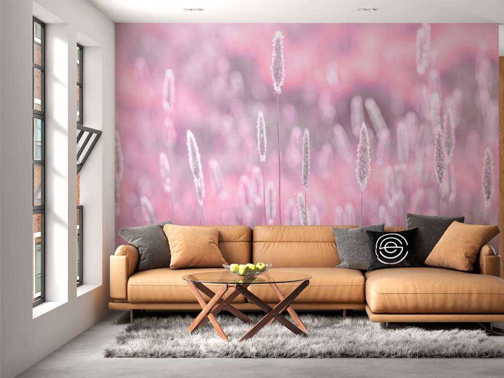 Colourful meadow