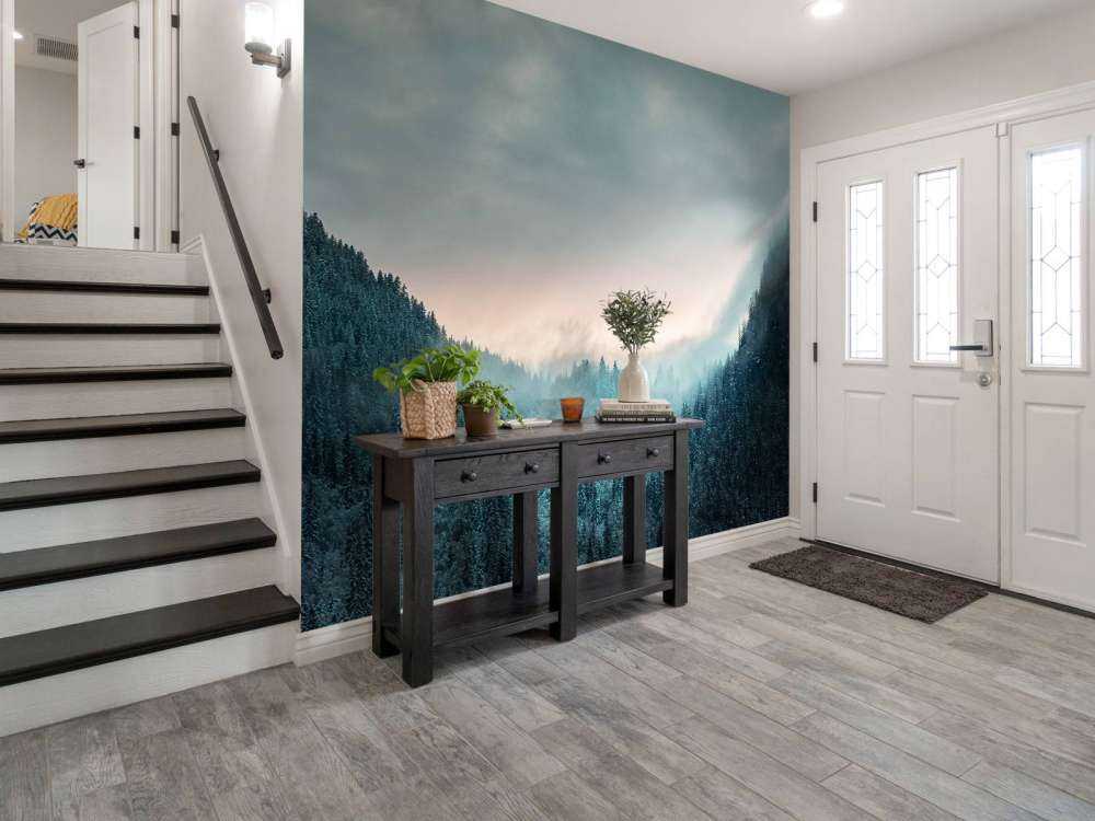 Near St jean D'Aulps 3