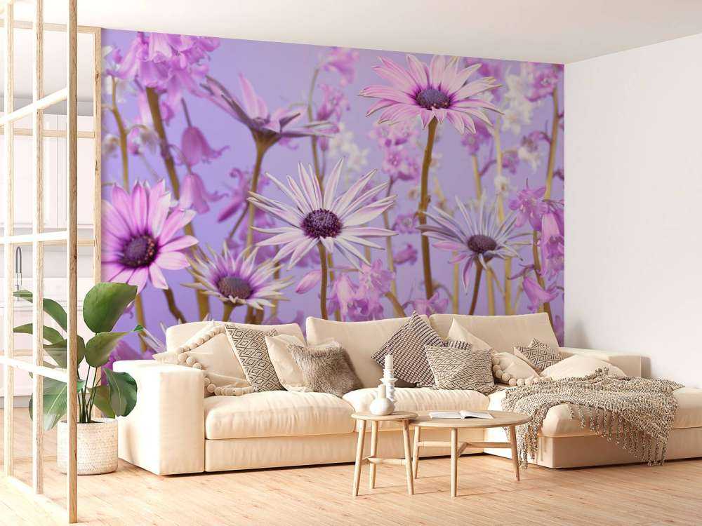 Colourful purple flowers