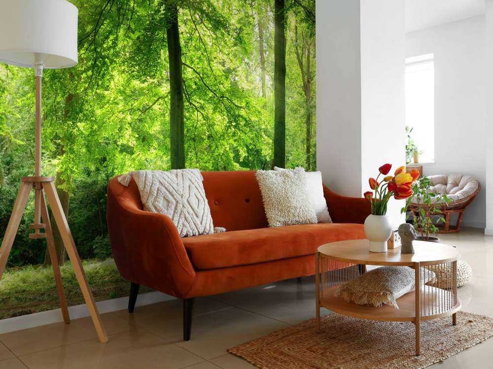 Forest with light mist