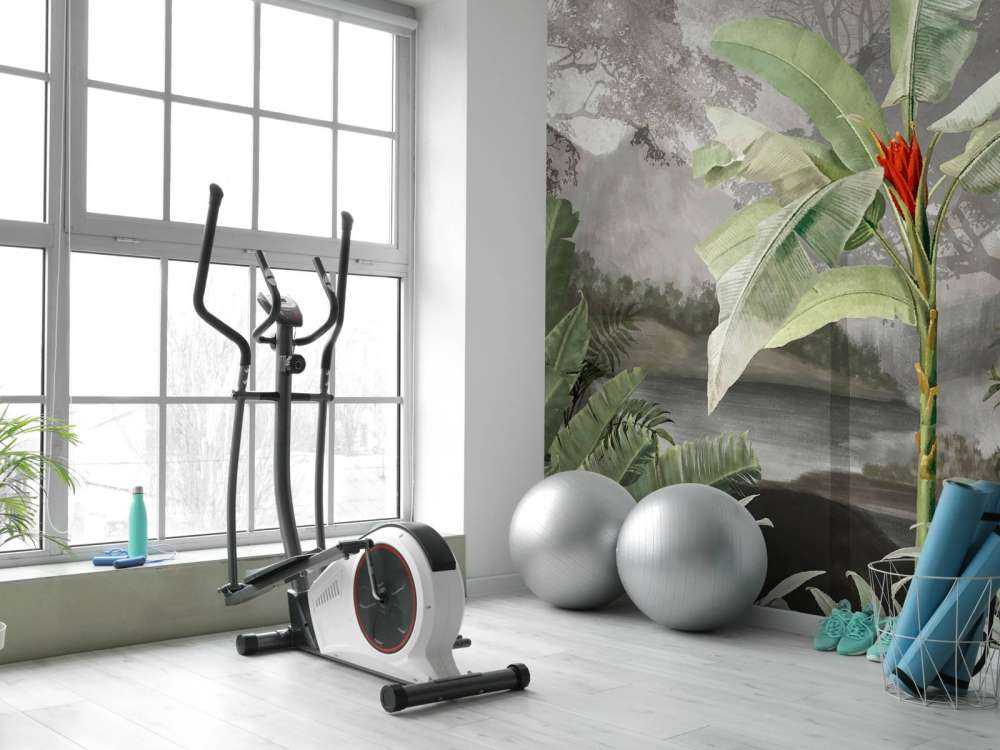 Trees in the tropics