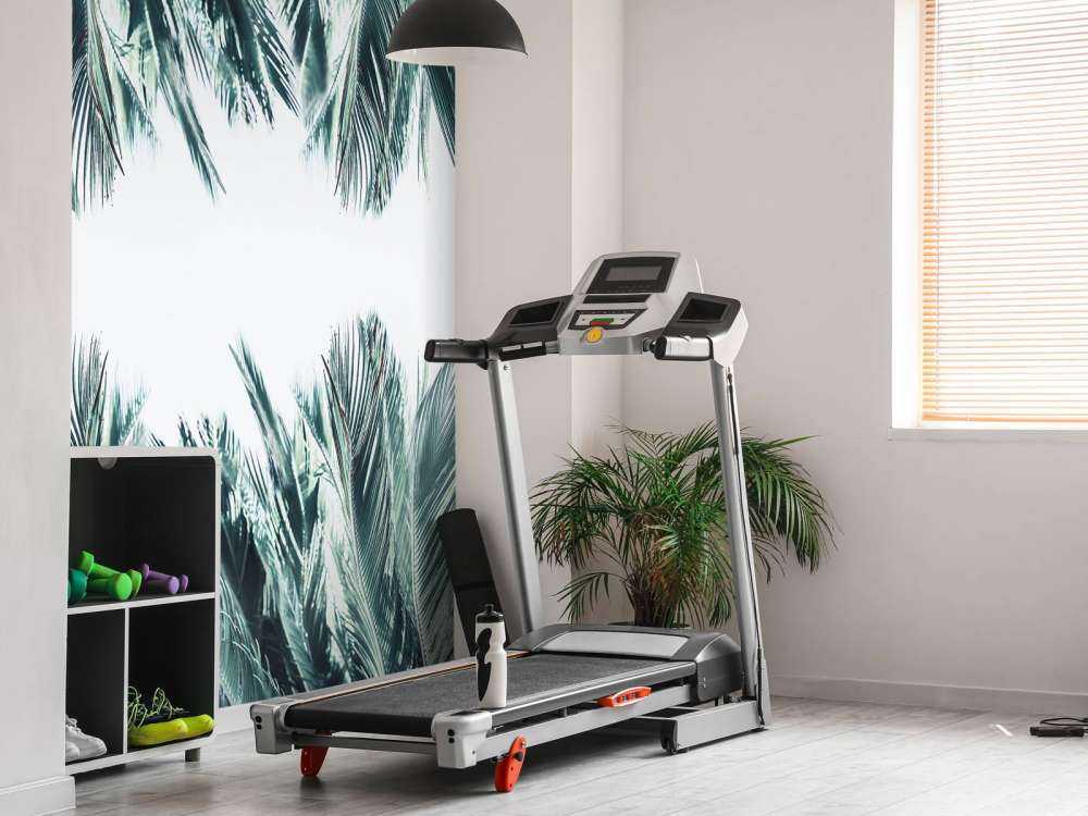 Palm leaves on white background