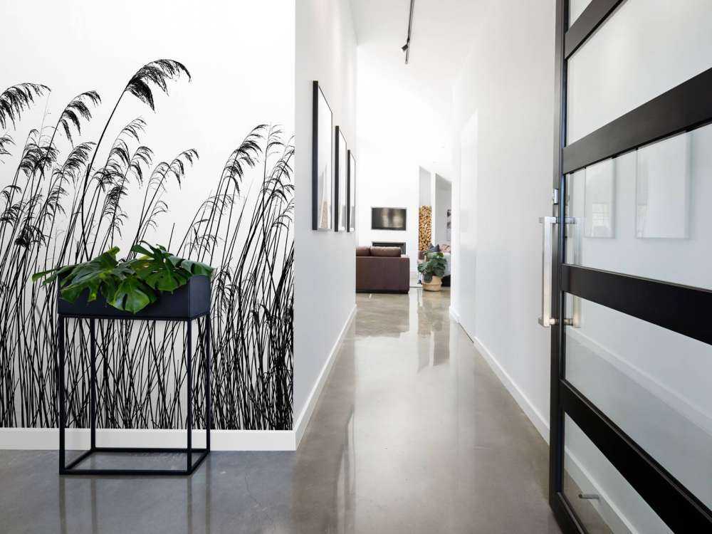 Reed along the waterfront in black and white