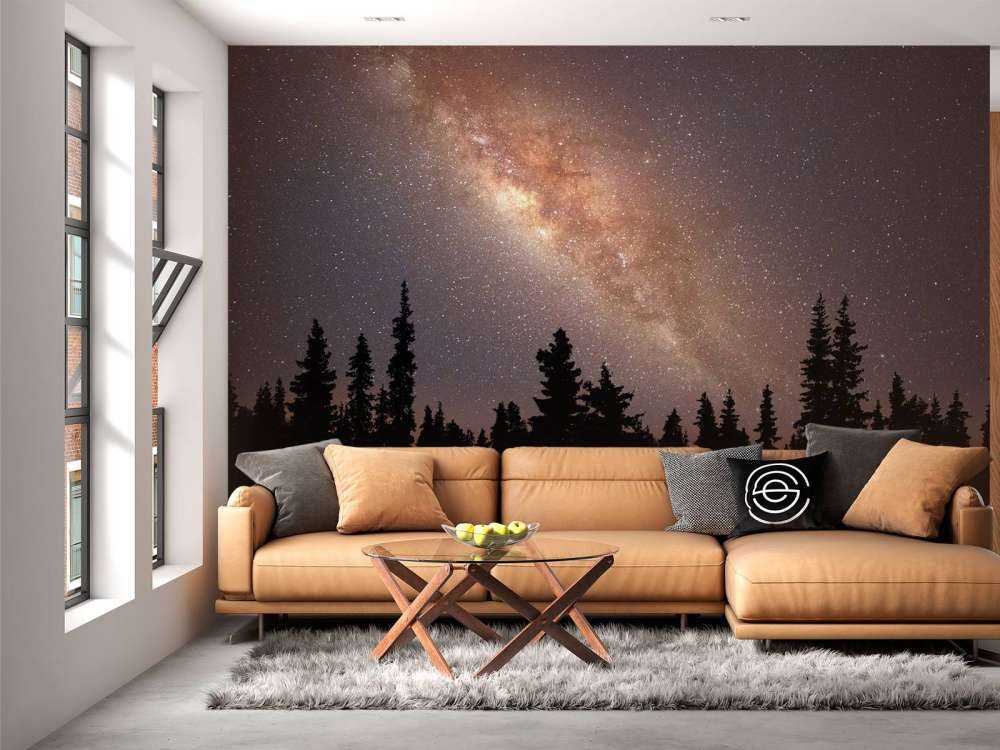 Milky way above silhouette of trees