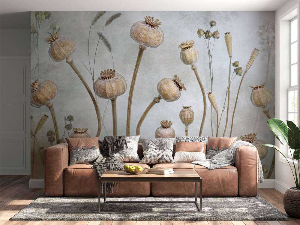 Papaver