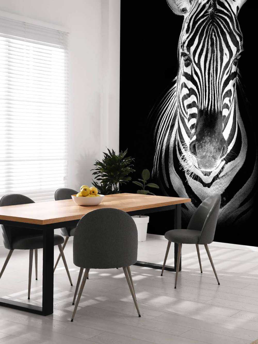 Close-up zebra black and white