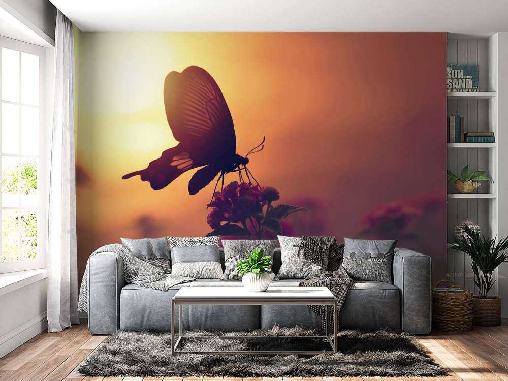 Butterfly with sunset