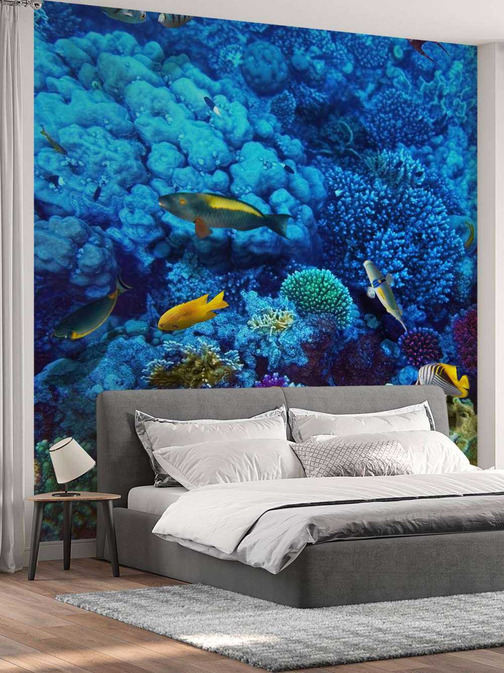 Fish and coral