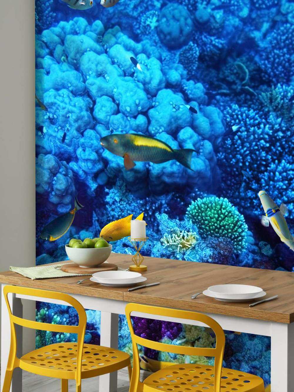 Fish and coral