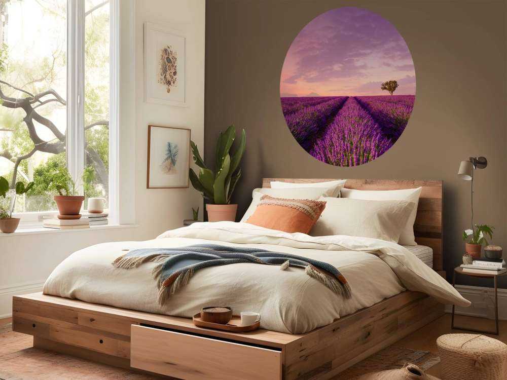 Lavender field and hot air balloon