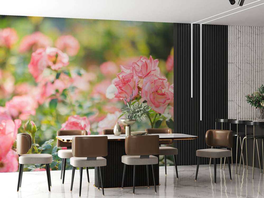 Light pink rose bush