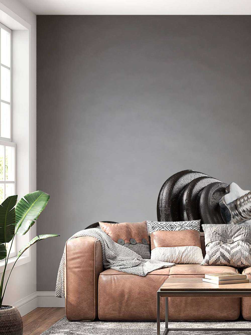 Dumbell with black discs