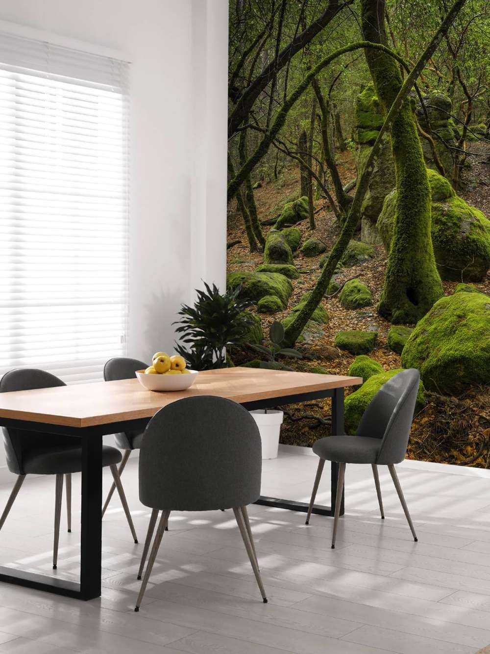 Trees and moss stones