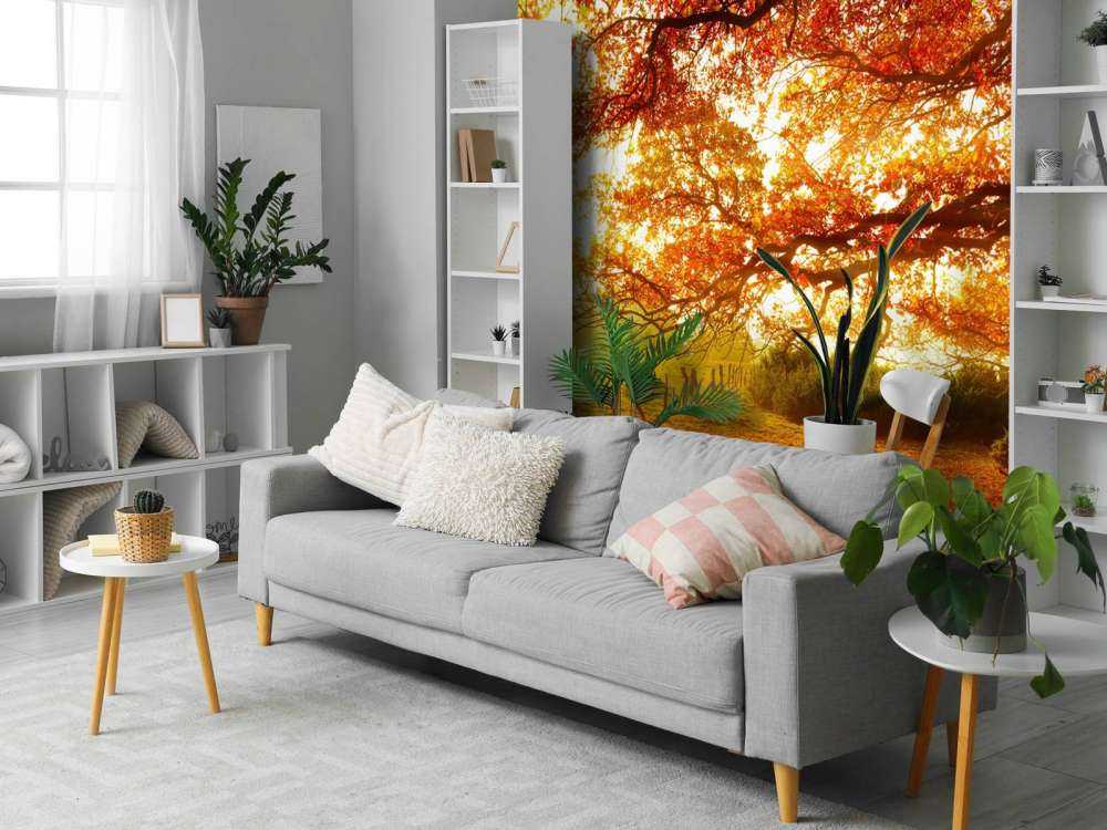 Autumn landscape with forest and meadow