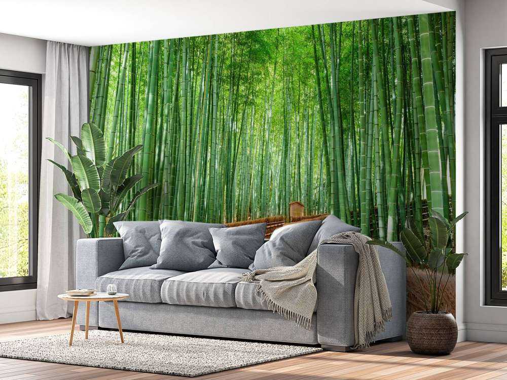 Staircase between bamboo plants