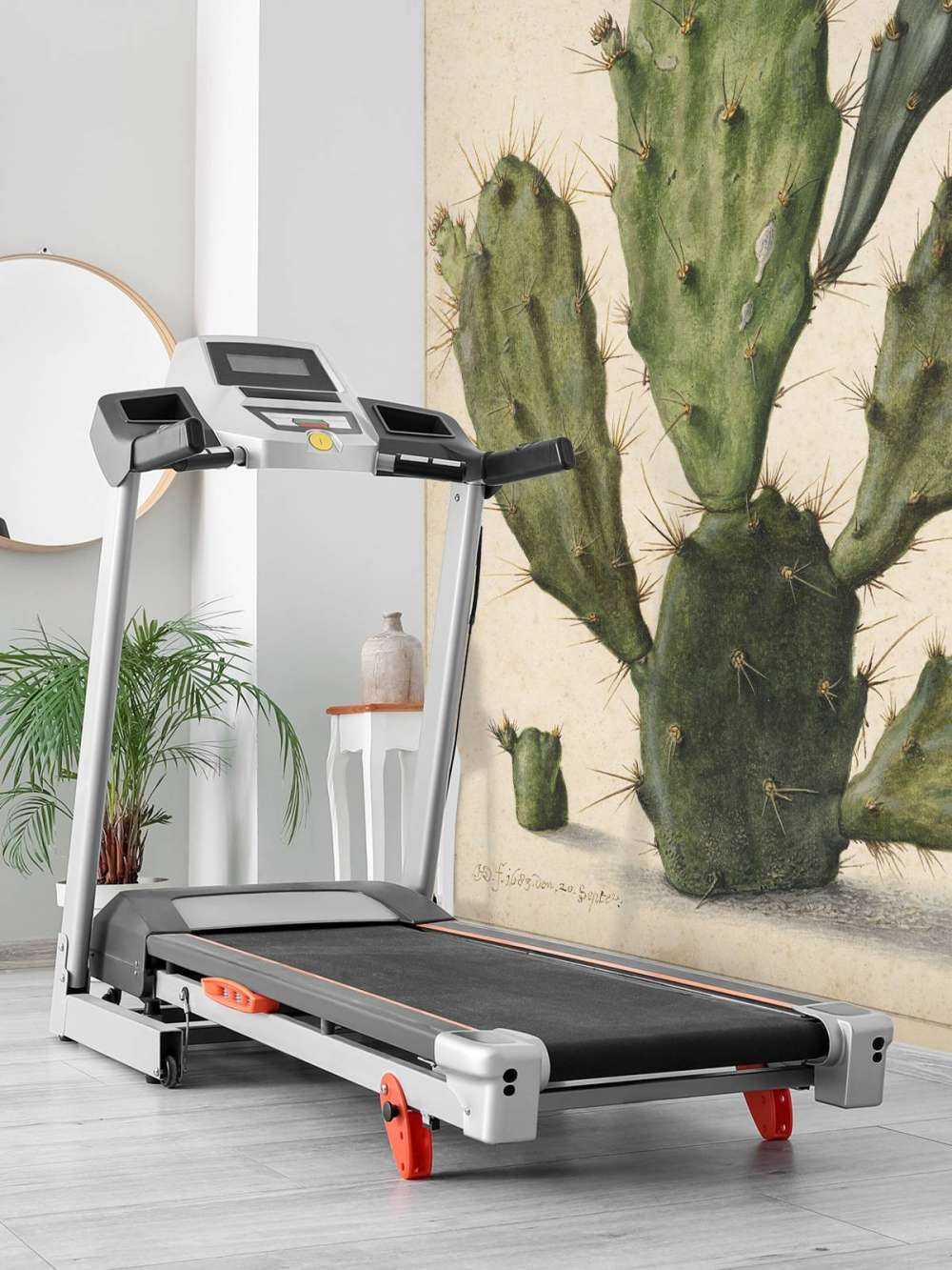 Flowering fig cactus