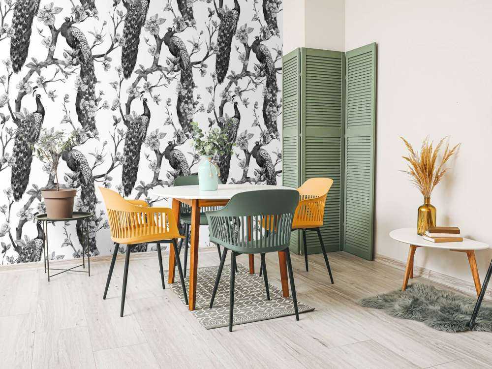 Monochrome Peacock Splendor