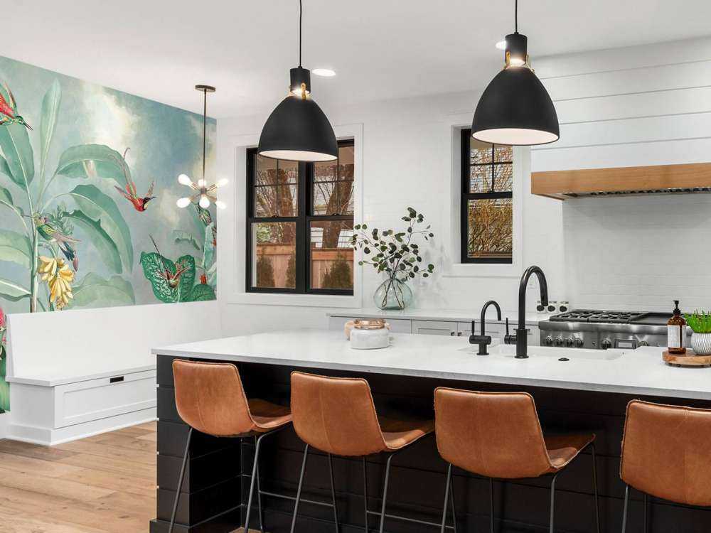 Hummingbird Paradise