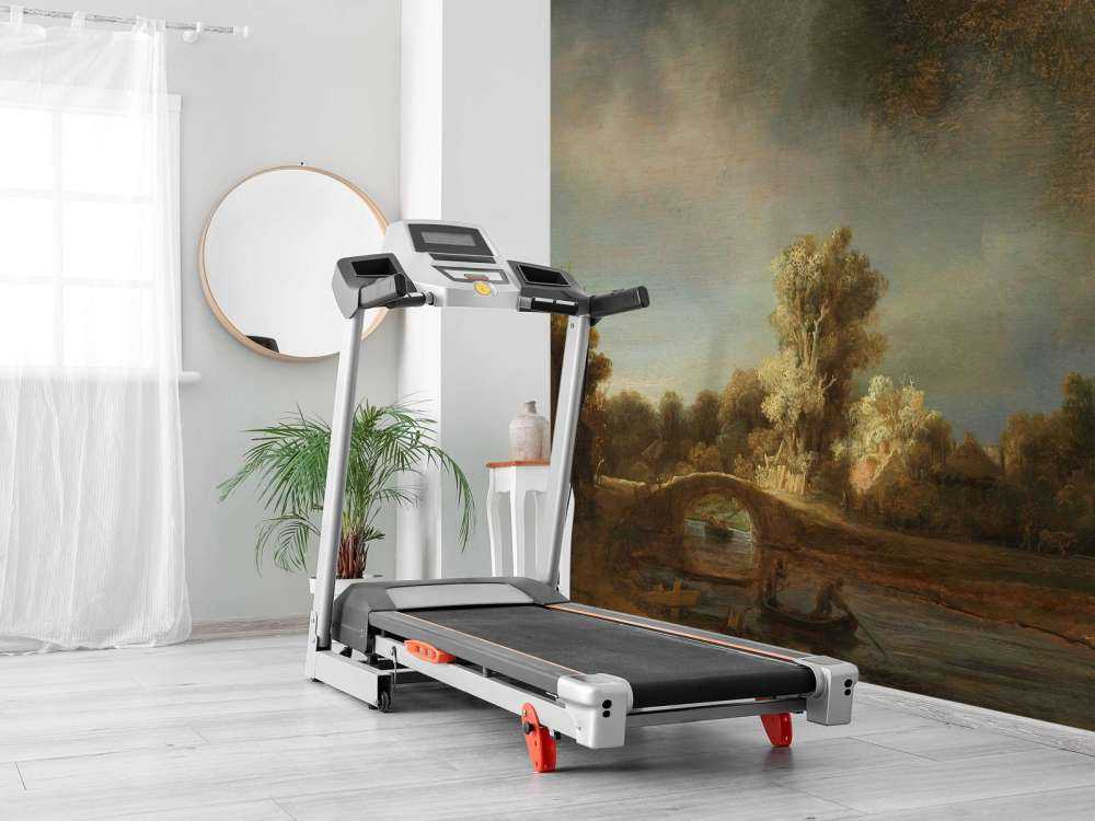 Landscape with stone bridge