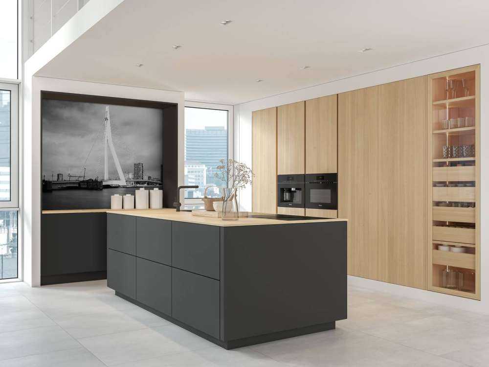 Erasmus Bridge Rotterdam 