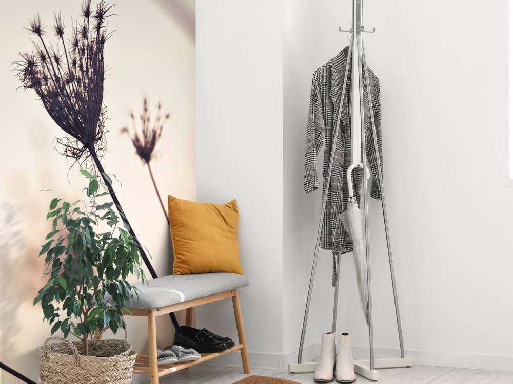 Silhouettes of plants