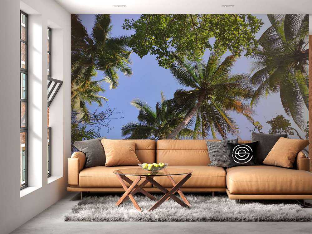 Palm trees from below