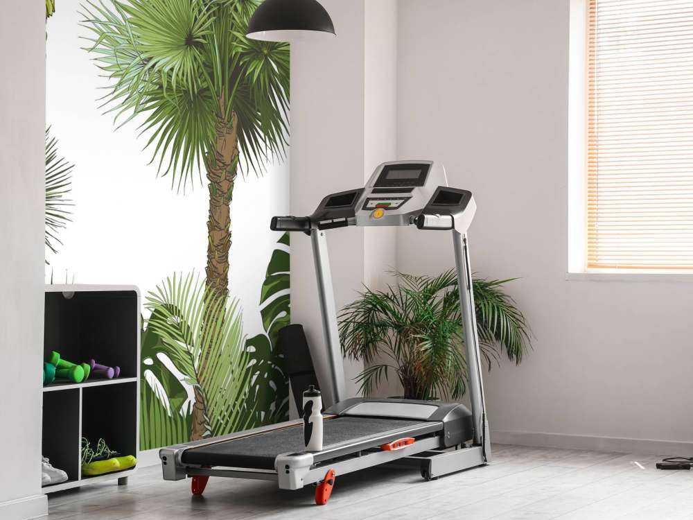 Green tropical plants